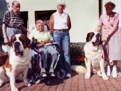 Therapy dogs in the old people's home