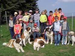 The class 3b with four Saint Bernard dogs