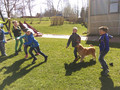 Hundebesuch in unserer Grundschule
