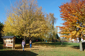 Herbst im Schulwald