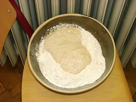 Starter dough